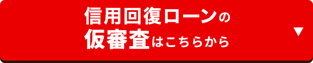 仮審査